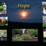 hope-quote-1-a-colorfc