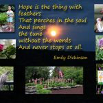 hope-quote-3-a-colorfc